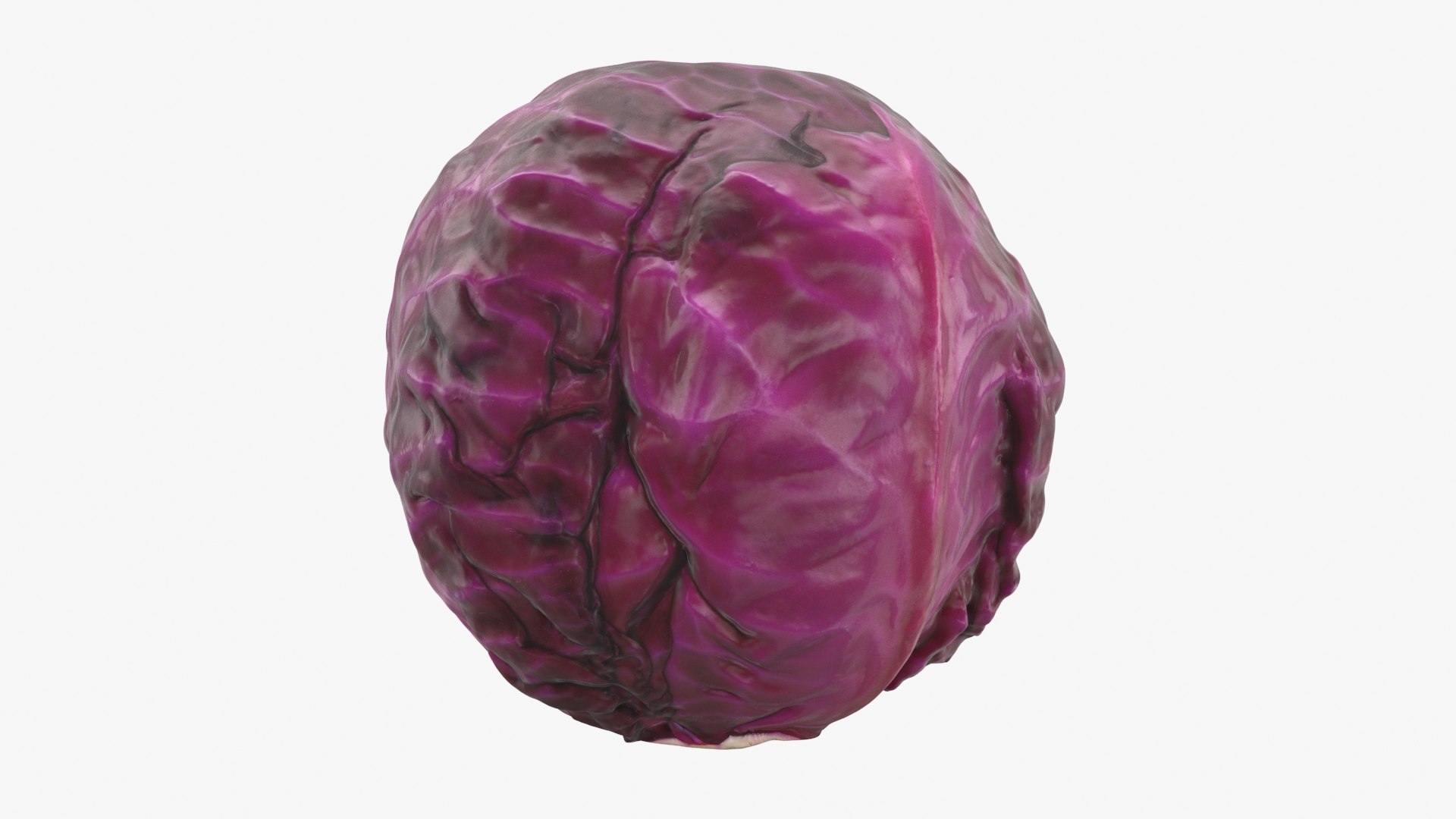 Cruciferous Collection 2 3D model https://p.turbosquid.com/ts-thumb/yw/hsUgb4/Ay/redcabbage_a0001/jpg/1695576448/1920x1080/fit_q87/52ea46d7c47773083cd49999a7ff09ec4dbcc66b/redcabbage_a0001.jpg