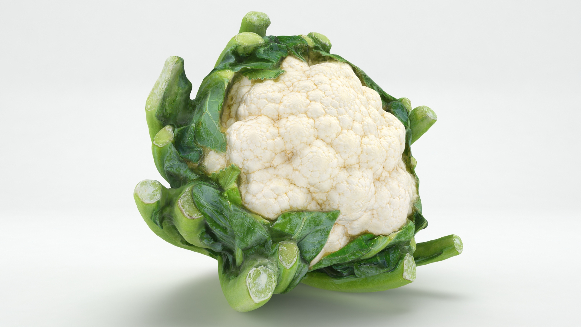 Cruciferous Collection 2 3D model https://p.turbosquid.com/ts-thumb/yw/hsUgb4/Cx/cauliflower/jpg/1642317215/1920x1080/turn_fit_q99/0a7bcfc4c8b21f360d1cca809f2af9cfa81eeb5c/cauliflower-1.jpg