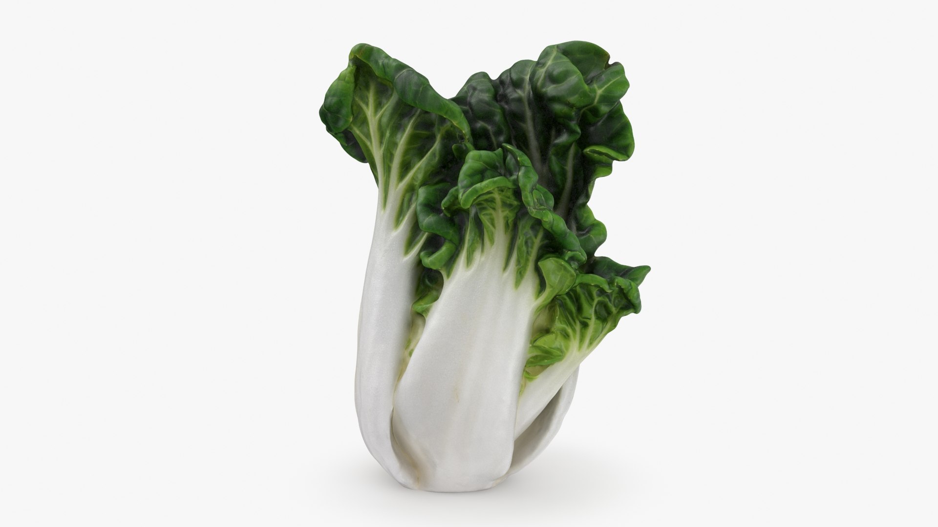 Cruciferous Collection 2 3D model https://p.turbosquid.com/ts-thumb/yw/hsUgb4/EA/bokchoy01_a0001/jpg/1721155807/1920x1080/fit_q87/be2367e8fdc8f8ff2537aab37929ececbbcbcae8/bokchoy01_a0001.jpg