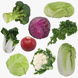 Cruciferous Collection 2 3D model
