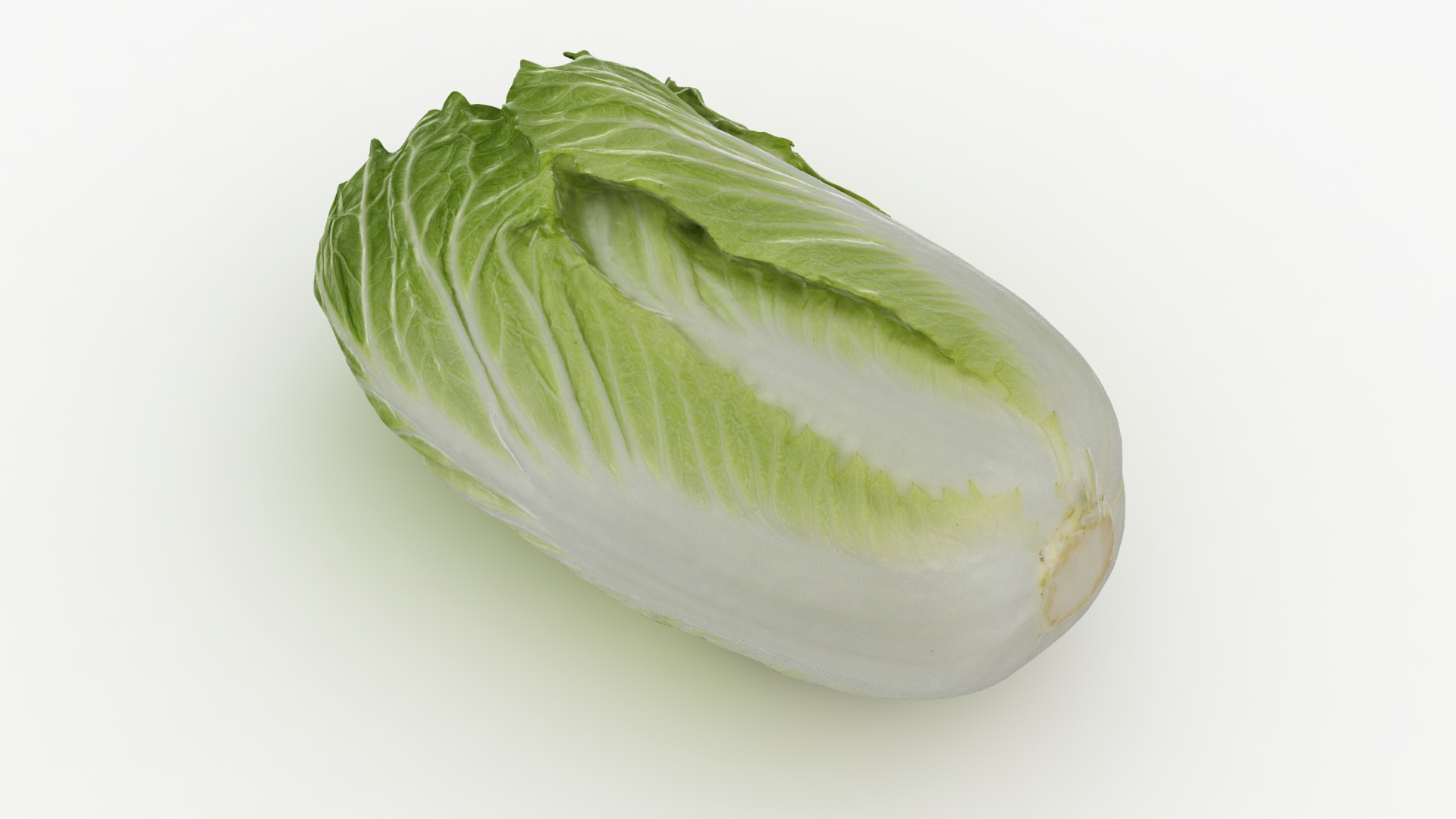 Cruciferous Collection 2 3D model https://p.turbosquid.com/ts-thumb/yw/hsUgb4/QH/chinesecabba/jpg/1612527942/1920x1080/turn_fit_q99/da1ec9d06625bfb5588d9e12fde180db4705a273/chinesecabba-1.jpg