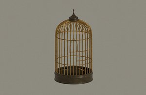 Bird Cage model