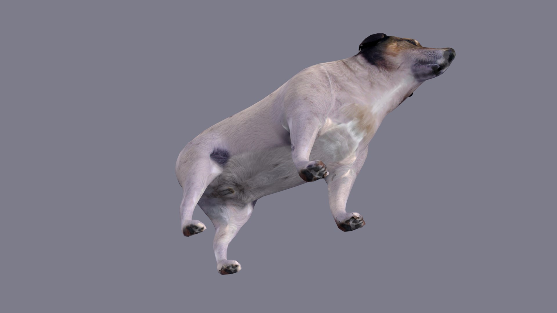 Dog 3D Model - TurboSquid 2066479