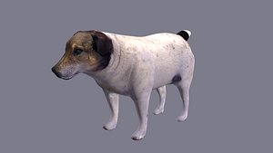dog 3D model