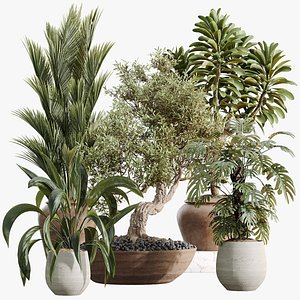 3D model AV Indoor Plants Set 477 Peace Lily Olive Euphorbia Palm