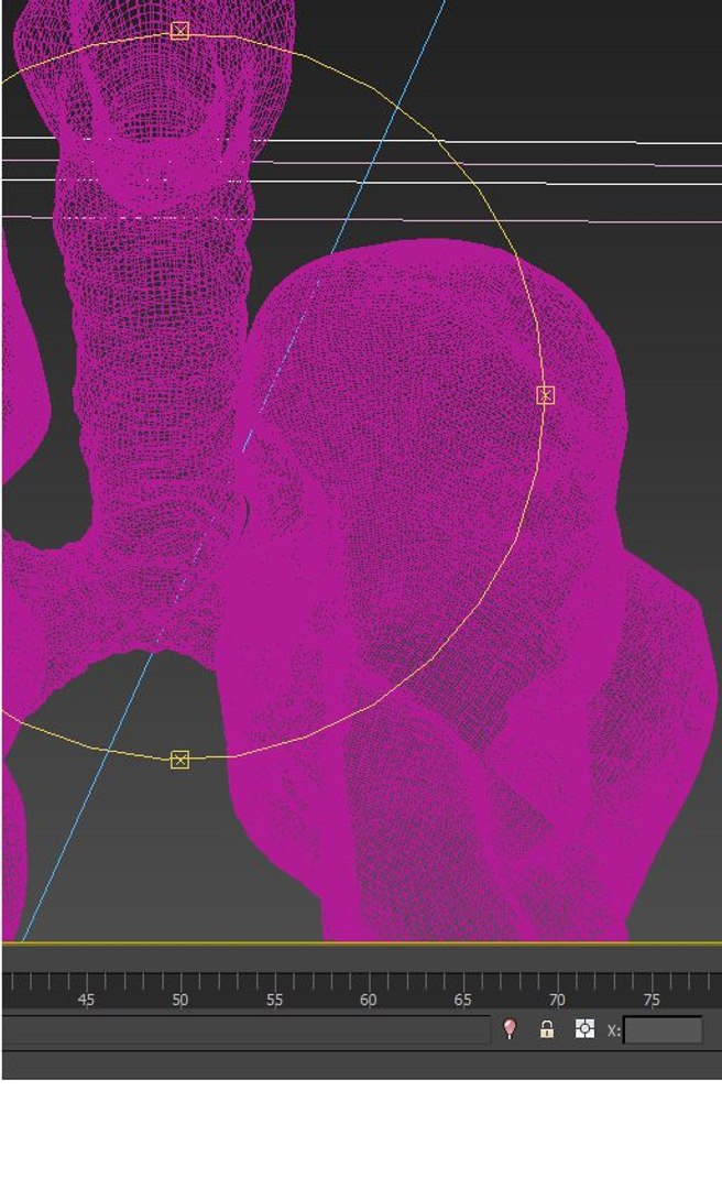 lungs anatomy 3D model https://p.turbosquid.com/ts-thumb/yx/4DL9pB/RdMmPIJl/wire03/jpg/1585861097/1920x1080/fit_q87/f3f5699bc90d4d27879366a9b3938d703f0758d5/wire03.jpg