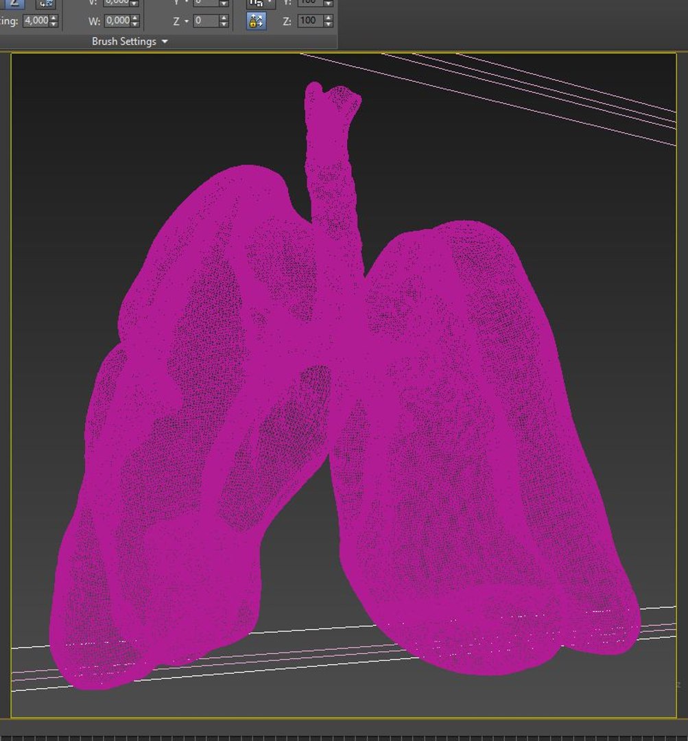 lungs anatomy 3D model https://p.turbosquid.com/ts-thumb/yx/4DL9pB/iw9Pkw1U/wire02/jpg/1585861074/1920x1080/fit_q87/50c525cfb2101d27b78c920f7e086fe79789c6d3/wire02.jpg