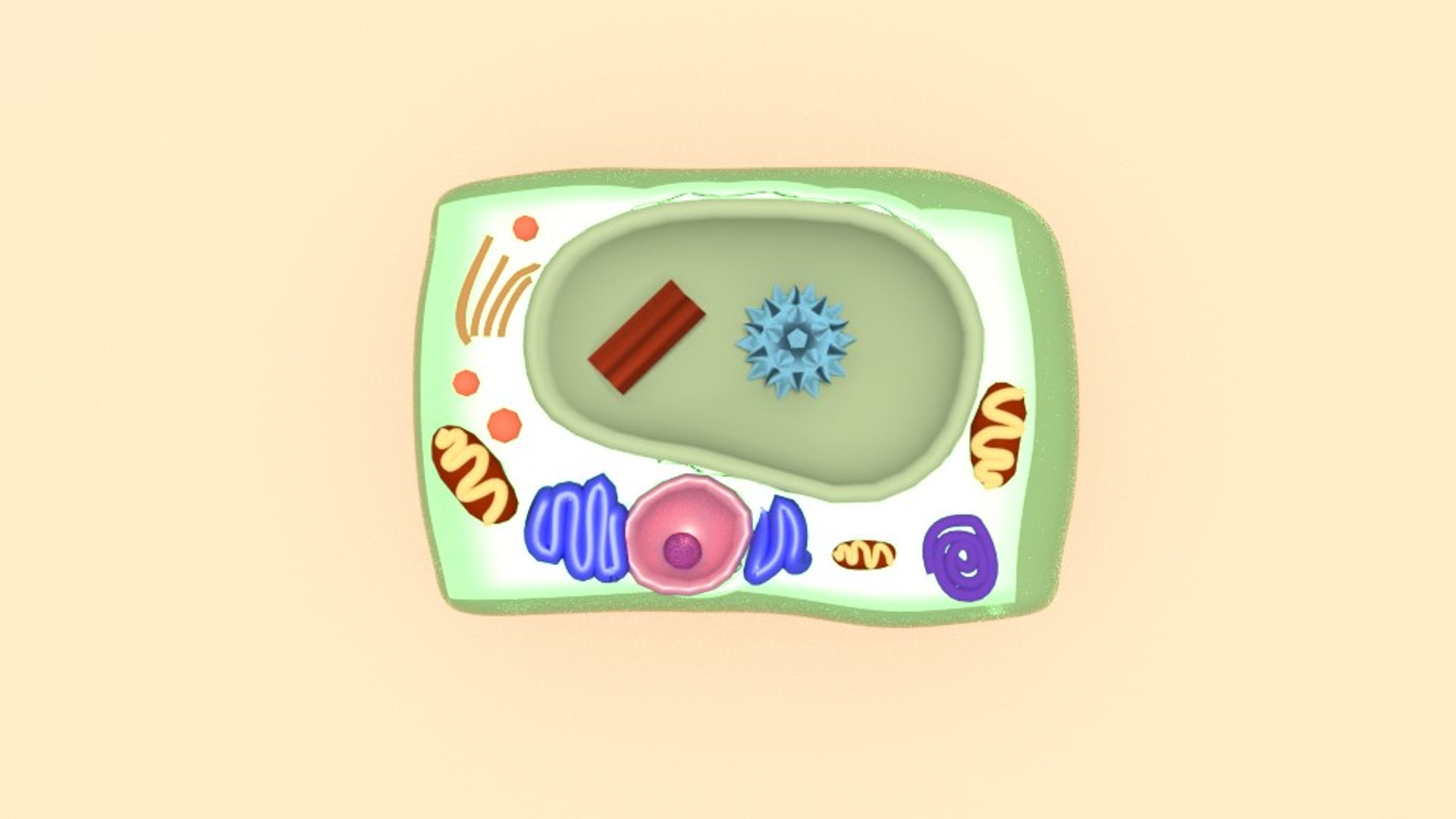 3D plant cell https://p.turbosquid.com/ts-thumb/yx/6G0P8t/VddqfygQ/plantcellrend3/jpg/1556865962/1920x1080/fit_q87/de22d29edba546bb2f064139552434f581f736f7/plantcellrend3.jpg