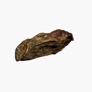 Oyster 3D Scan High Quality