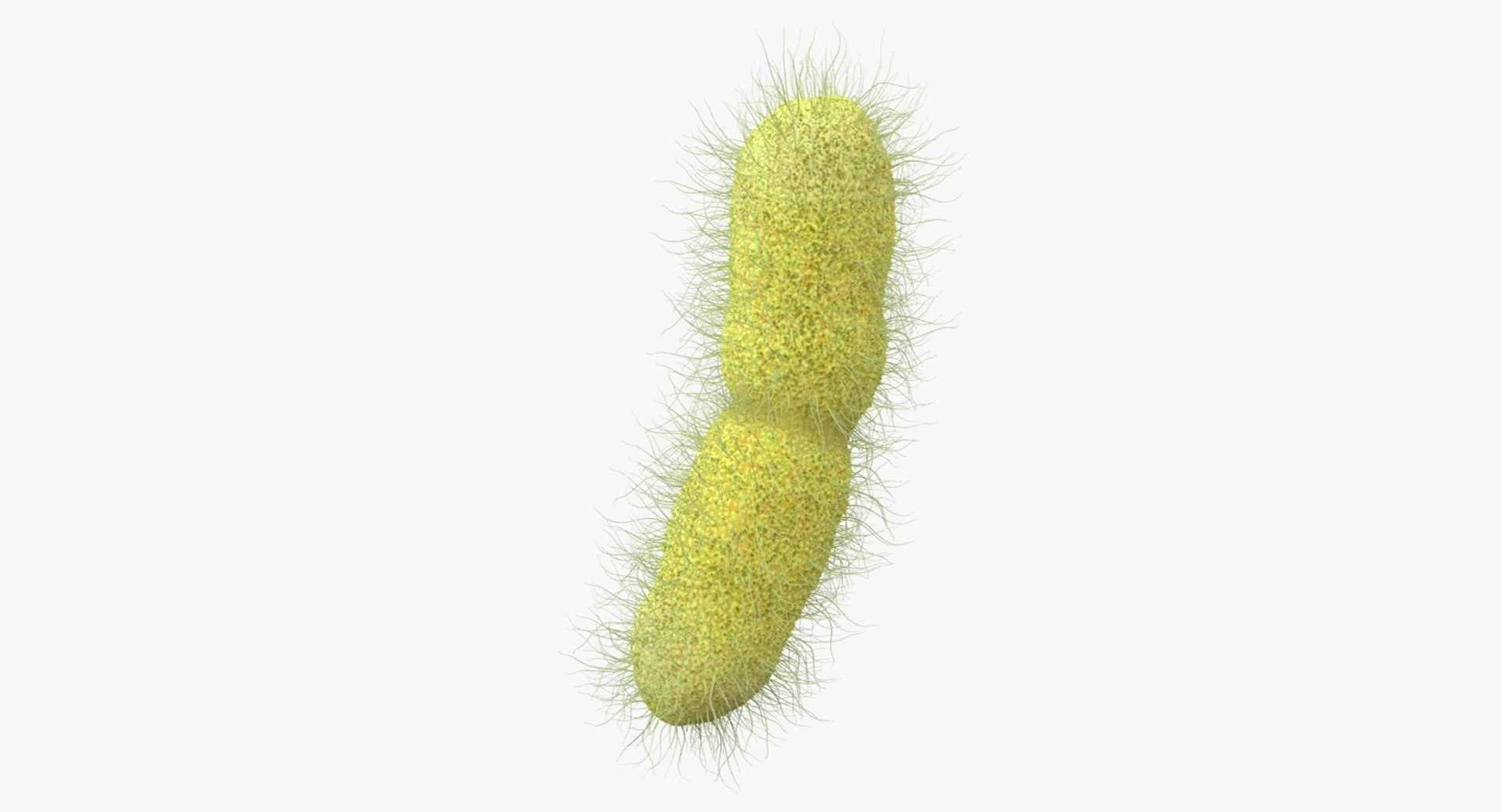 klebsiella pneumoniae bacteria model https://p.turbosquid.com/ts-thumb/yx/LxCZdX/6kqx4vyE/klebsiella_pneumoniae_bacteria_sign_b/jpg/1530676170/1920x1080/fit_q87/833cf4004c880395ca38a0809ea227ee6caf2547/klebsiella_pneumoniae_bacteria_sign_b.jpg