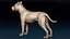 American Pitbull Base Mesh 3D 모델