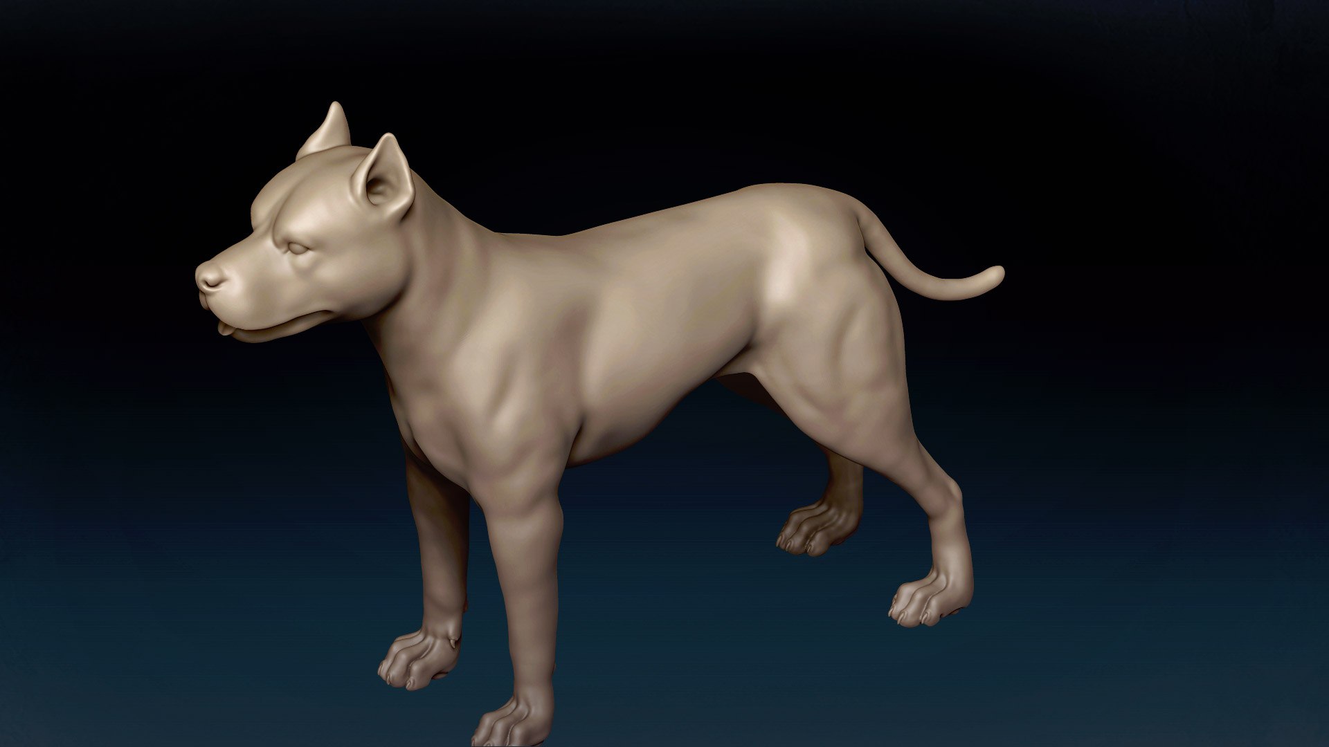 American Pitbull Base Mesh 3D model 3D model https://p.turbosquid.com/ts-thumb/yx/Mv9BqZ/5W/7/jpg/1646551112/1920x1080/fit_q87/68246159e5ead9a406abe090a0be53741541f895/7.jpg