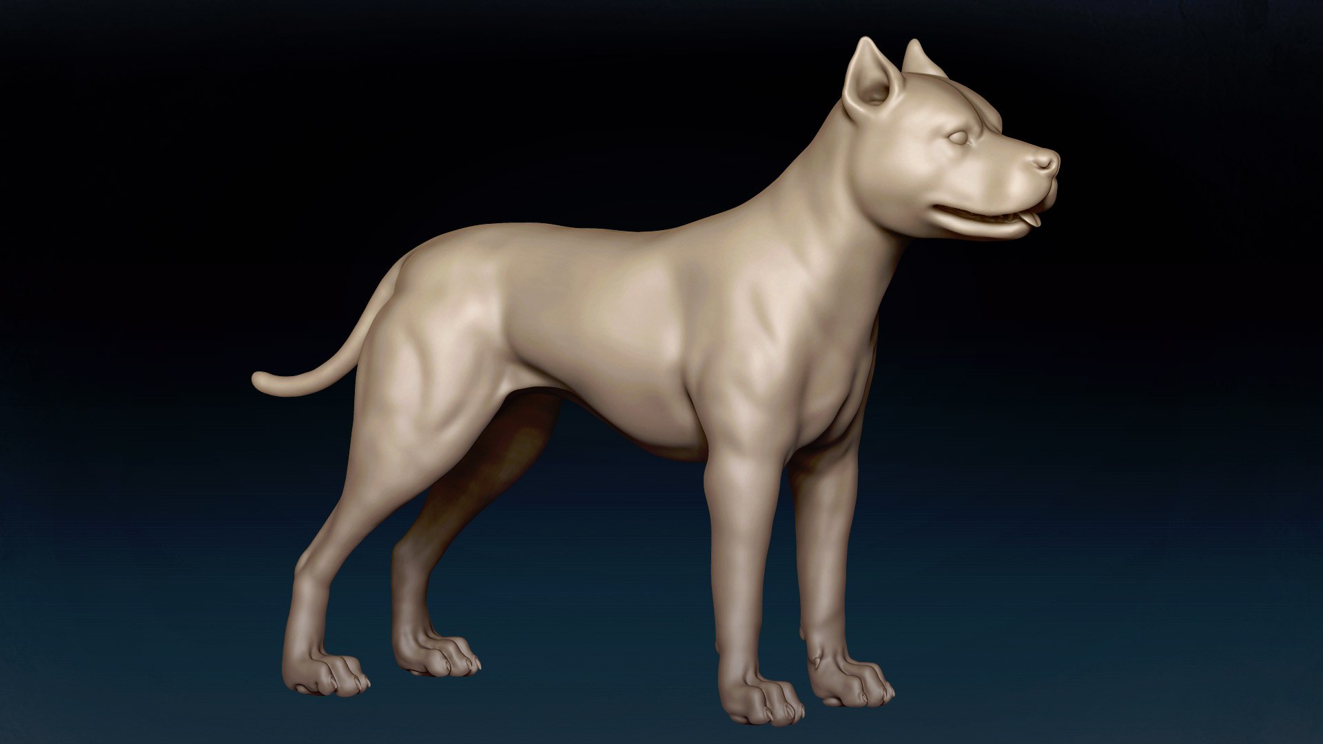 American Pitbull Base Mesh 3D model 3D model https://p.turbosquid.com/ts-thumb/yx/Mv9BqZ/Hz/3/jpg/1646551112/1920x1080/fit_q87/659966afa4c7137e58df1c1b196b990e54a26664/3.jpg
