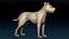 American Pitbull Base Mesh 3D 모델