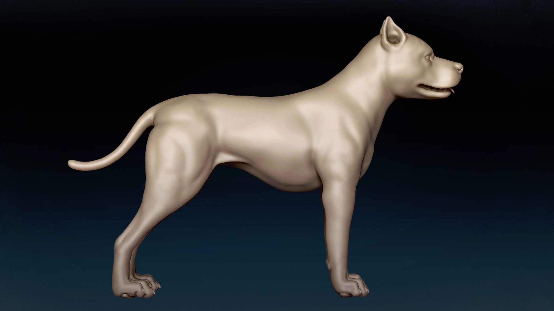 American Pitbull Base Mesh 3D model 3D model https://p.turbosquid.com/ts-thumb/yx/Mv9BqZ/IV/4/jpg/1646551110/1920x1080/fit_q87/a3384717490375737a562adc2ae14d8315975b81/4.jpg