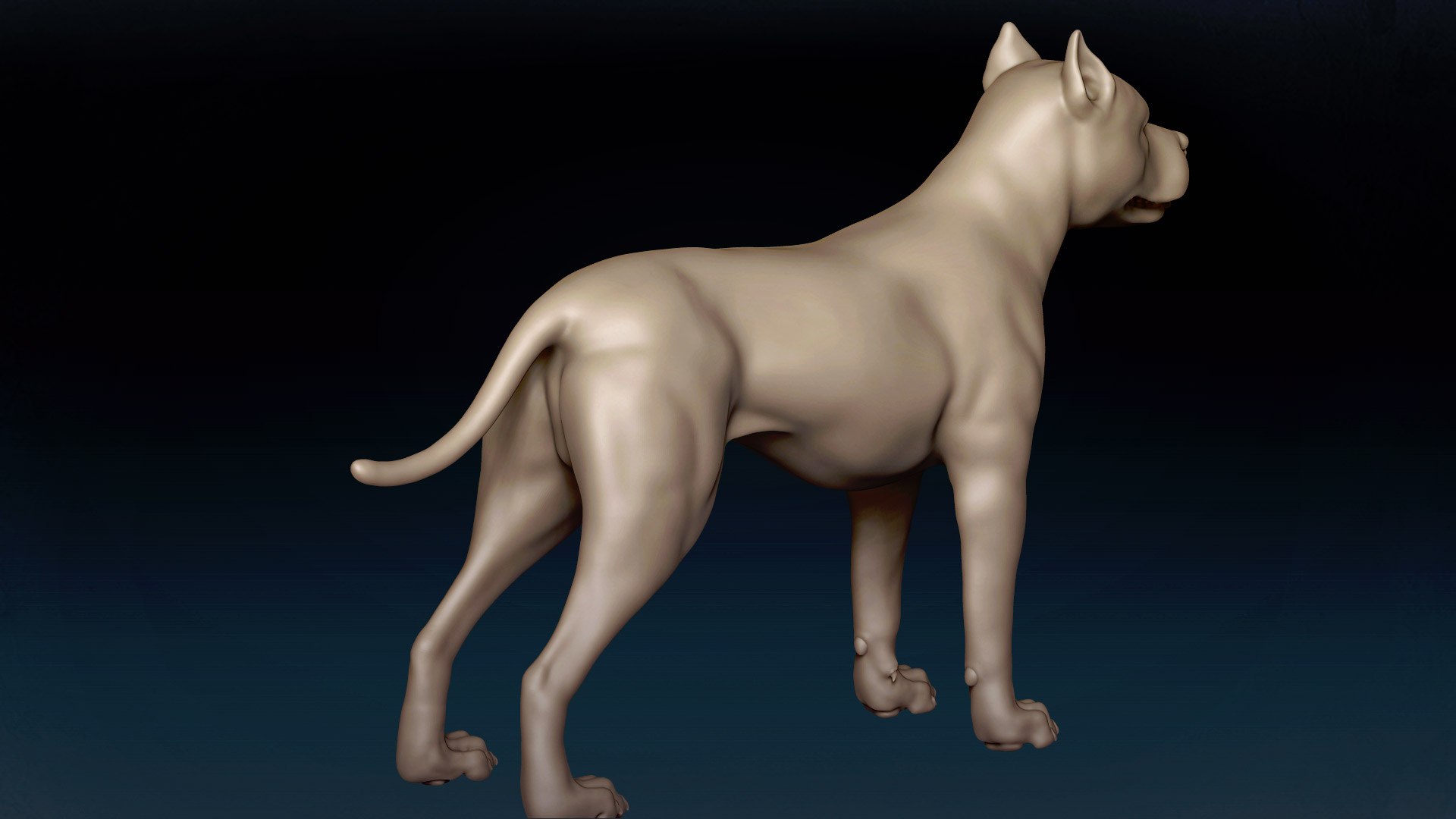 American Pitbull Base Mesh 3D model 3D model https://p.turbosquid.com/ts-thumb/yx/Mv9BqZ/rb/5/jpg/1646551099/1920x1080/fit_q87/6f4b8fd83ab6d8b28df23d5c19c9d3f4b09de0cd/5.jpg