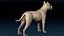 American Pitbull Base Mesh 3D 모델
