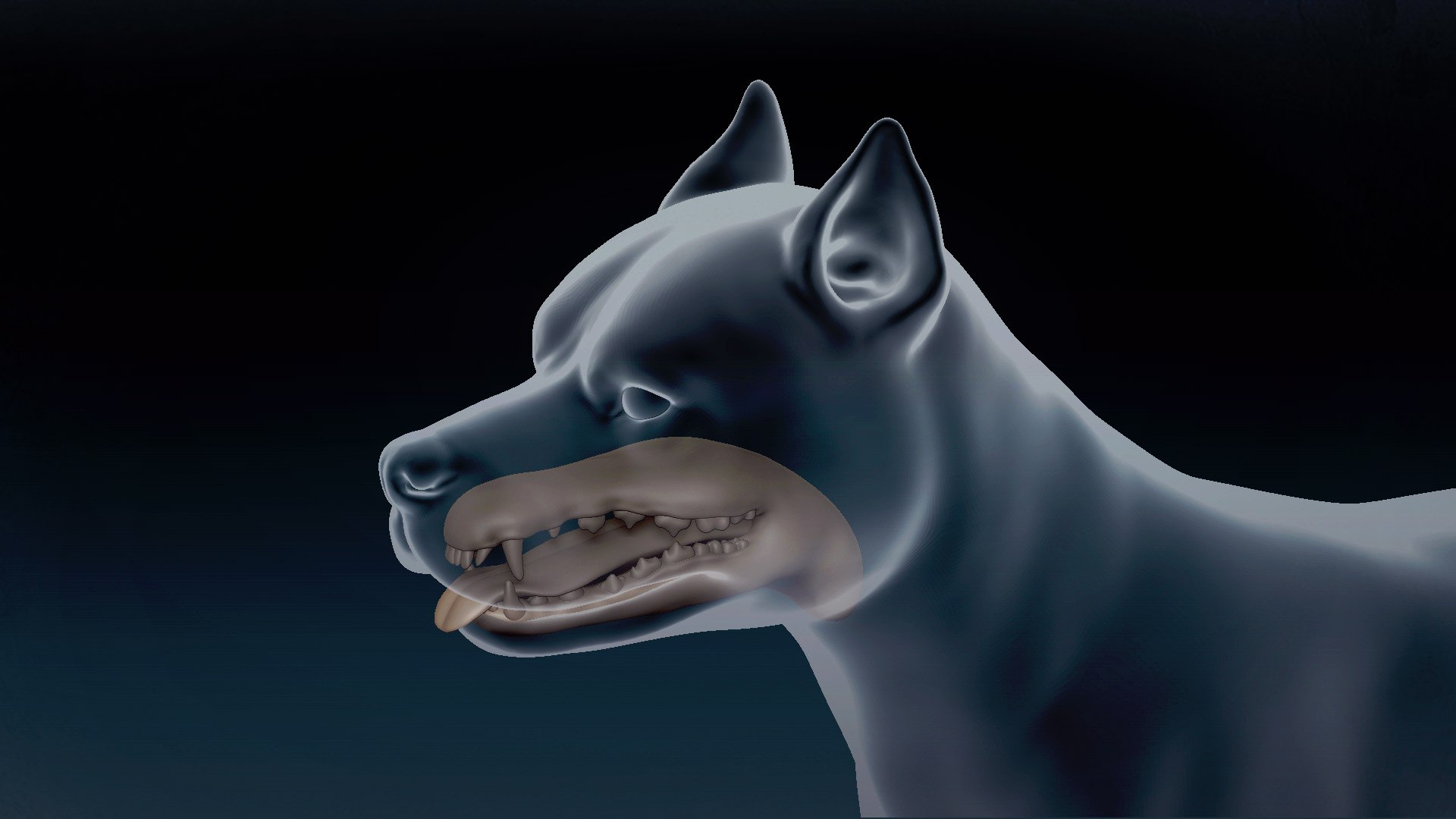 American Pitbull Base Mesh 3D model 3D model https://p.turbosquid.com/ts-thumb/yx/Mv9BqZ/tS/9/jpg/1646551112/1920x1080/fit_q87/e8f14a3ed04dc4bd5f33b8c457aee9676ad6eb5c/9.jpg