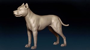 American Pitbull Base Mesh 3D model 3D model