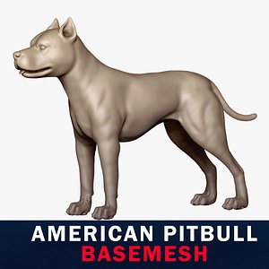 American Pitbull Base Mesh 3D model 3D model