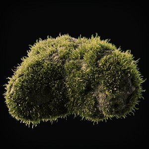 3D decorative moss - TurboSquid 1398670