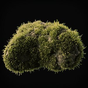 Moss Low Poly 11
