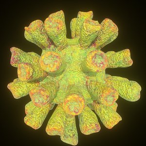 3D virus anatomy science