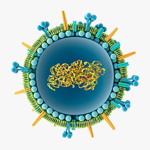 3D Flu Virus