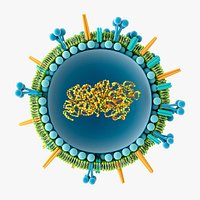 Flu Virus