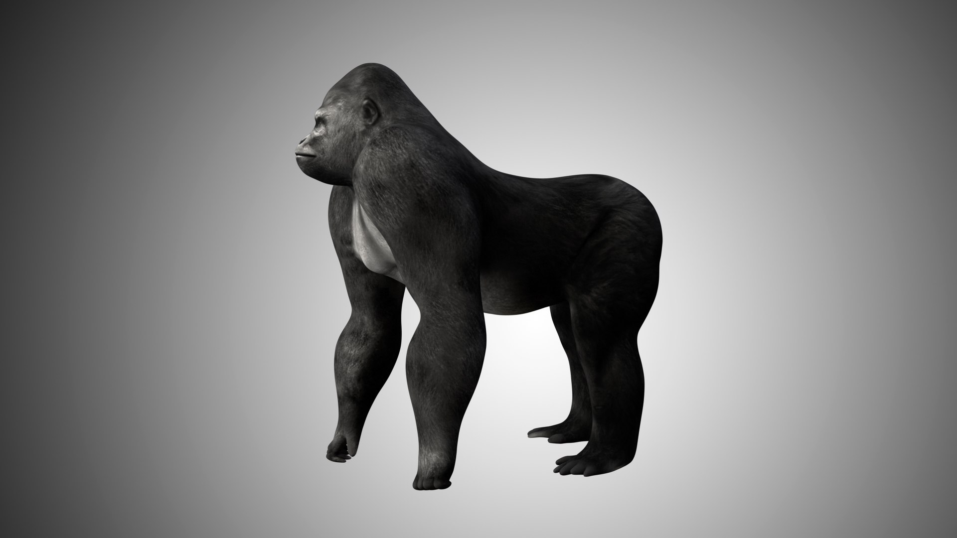 3D realistic https://p.turbosquid.com/ts-thumb/yx/nH1oIc/HnmKQVmA/gorilla02/jpg/1598482643/1920x1080/fit_q87/f8eea4160f51c7fcbfdcd4674ce6e27fe442490a/gorilla02.jpg