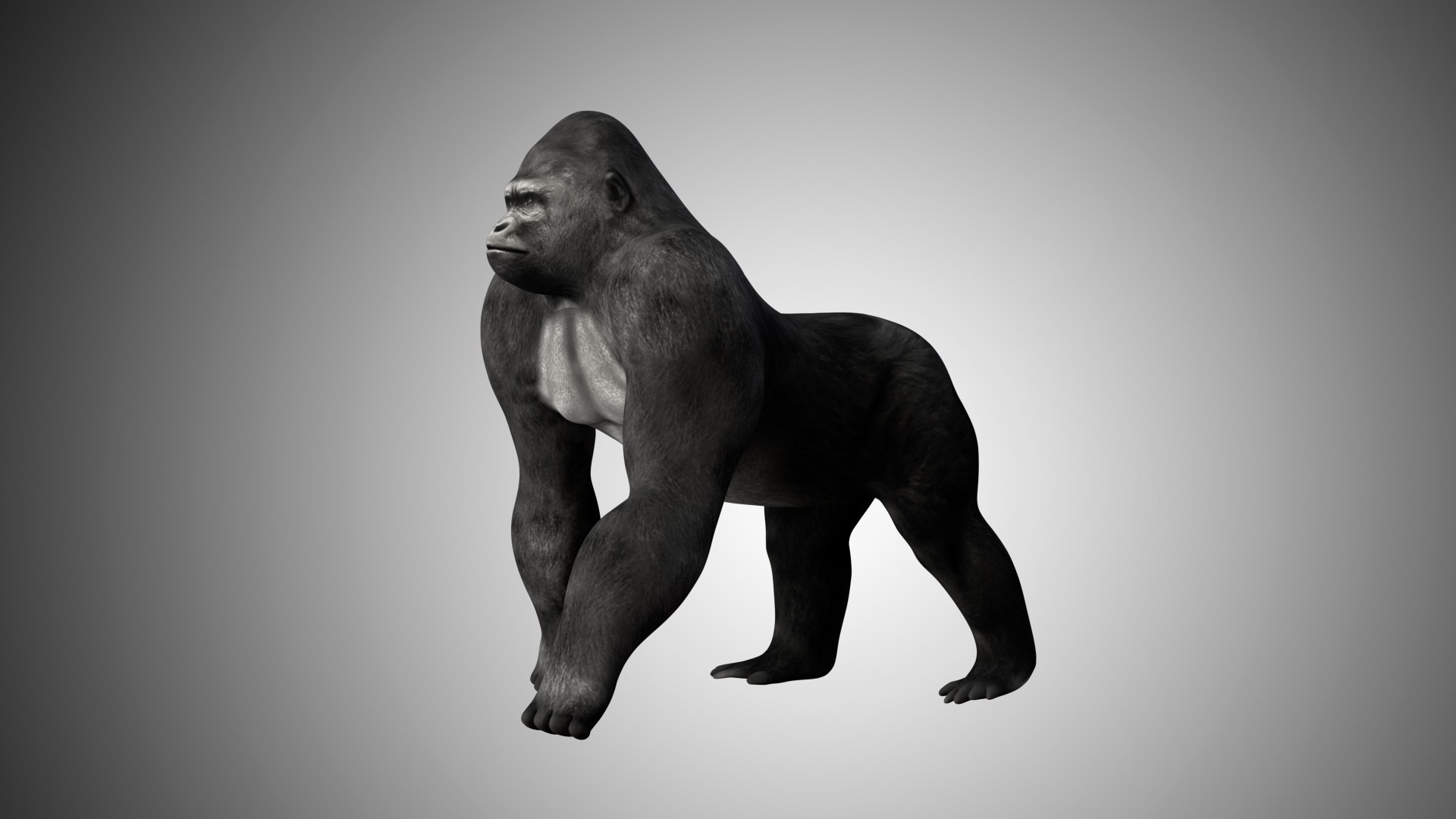 3D realistic https://p.turbosquid.com/ts-thumb/yx/nH1oIc/XT508ihO/gorilla01/jpg/1598482643/1920x1080/fit_q87/2e239c33e185848995f999b2e3d8f95d842919ad/gorilla01.jpg