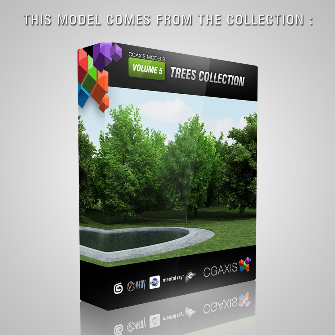 silver birch 3d model https://p.turbosquid.com/ts-thumb/yx/qnEQ5f/BIwkjNtE/modelfrom5/jpg/1317818306/1920x1080/fit_q87/bfe952e4a57dea194d872d0a5fcbfbf508f75b0f/modelfrom5.jpg