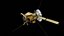 NASA Cassini Orbiter