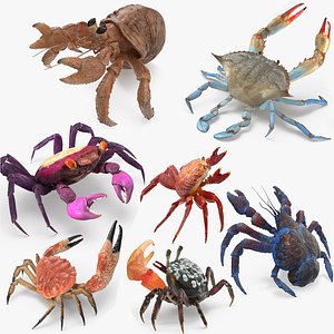 crabs 2 rigged 3D