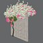 Bougainvillea 1