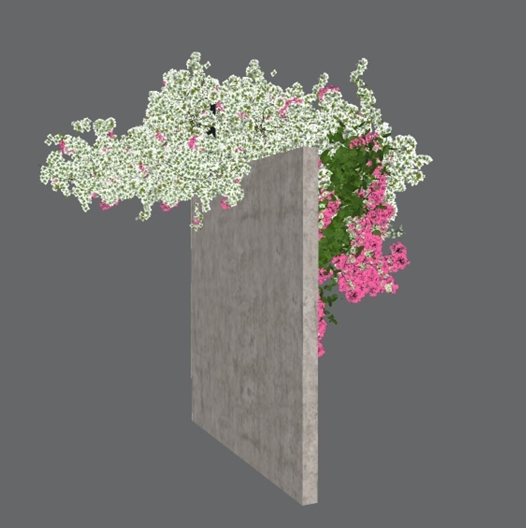 bougainvillea 1 3D model https://p.turbosquid.com/ts-thumb/yx/vGRIQB/awoxvlqe/previewimageset1/jpg/1598703800/1920x1080/fit_q87/38a9153158240fb804957241ecf12fd0c003fae2/previewimageset1.jpg