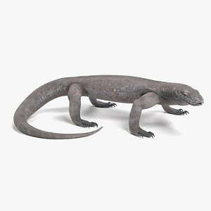 komodo dragon rigged 3D