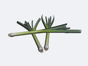 3D green onion