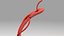 Schistosoma