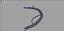 Schistosoma