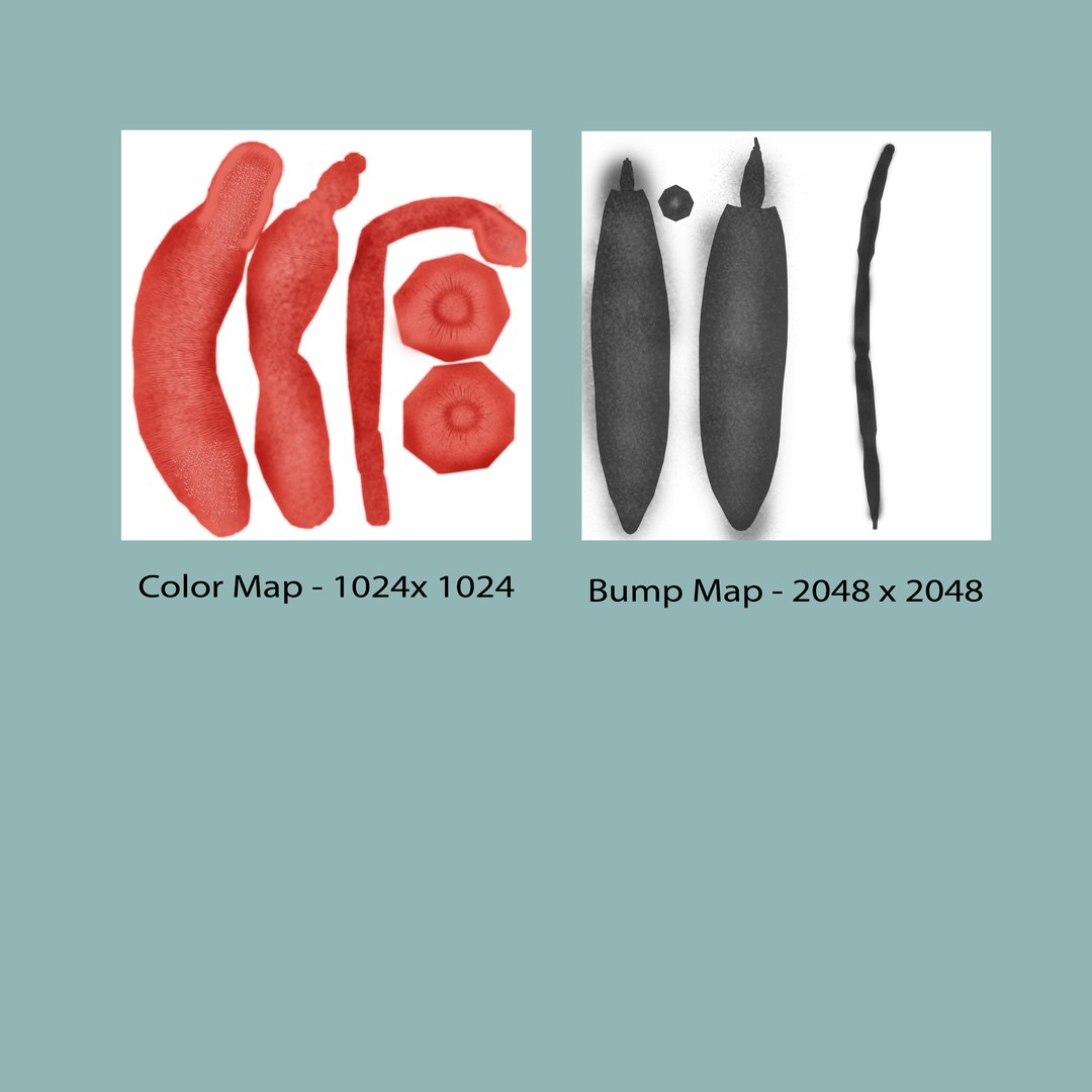 schistosoma 3d model https://p.turbosquid.com/ts-thumb/yz/4V8url/eqOXhSns/b0448schistosoma_textlayout/jpg/1475750217/1920x1080/fit_q87/6d29d95556d50f1de83442fe00b816ceb3e1cc38/b0448schistosoma_textlayout.jpg