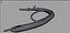 Schistosoma