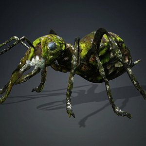 3D Ant-V3b model