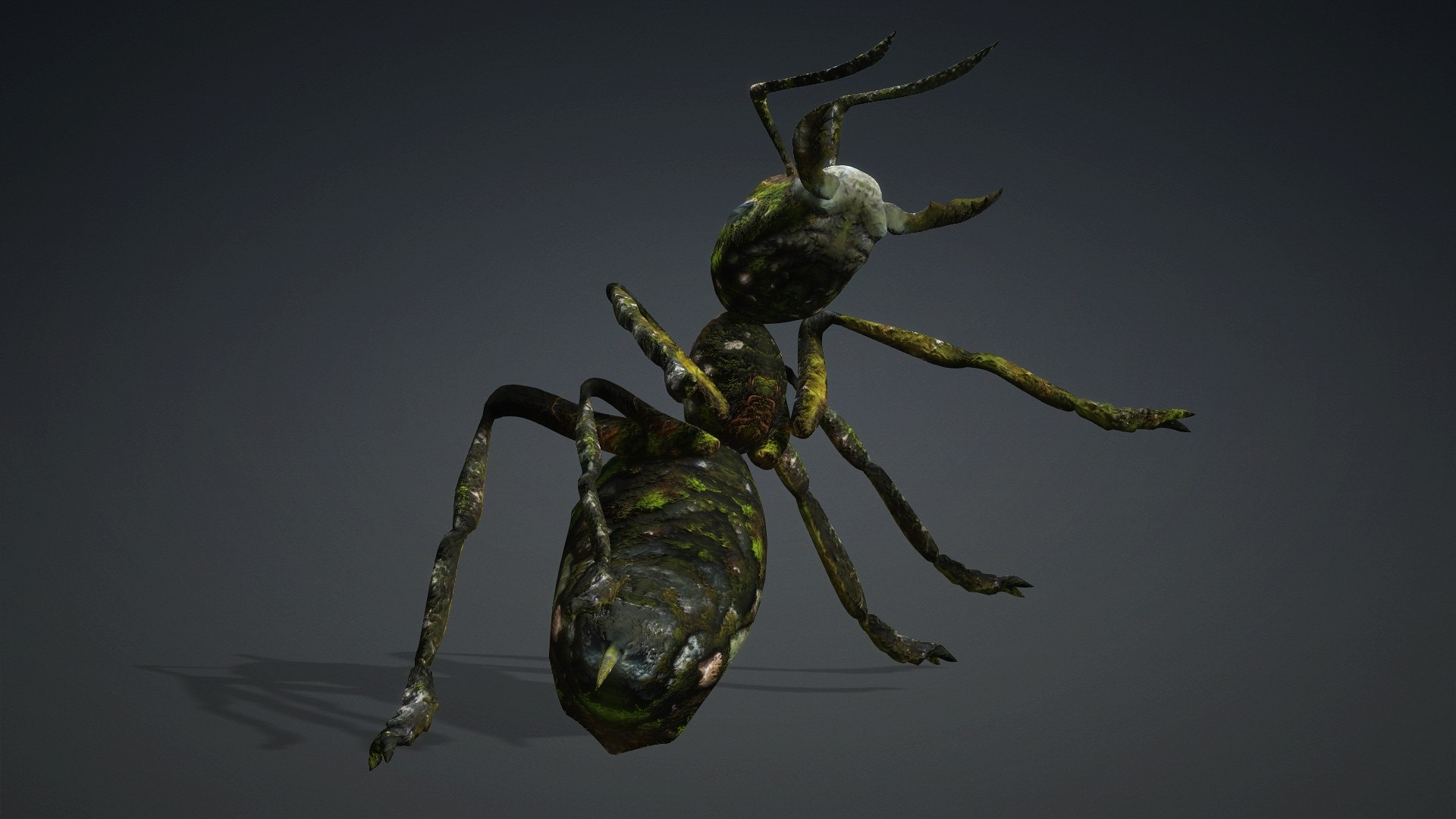 3D Ant-V3b model https://p.turbosquid.com/ts-thumb/yz/76GhHf/hM/preview9/jpg/1771907103/1920x1080/fit_q87/4b1d1370ed86039c54c83d4e8e20efd67701044f/preview9.jpg