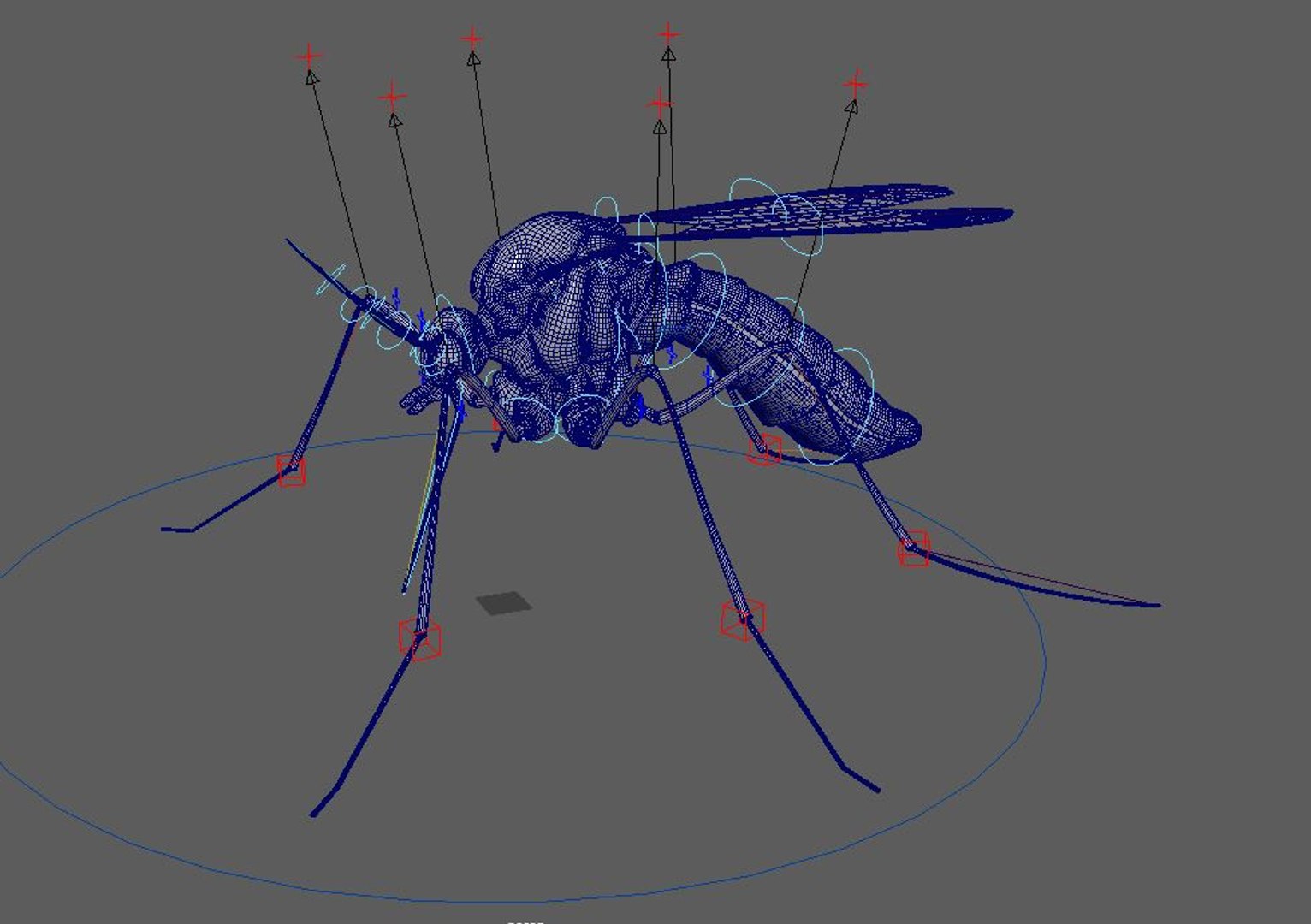Mosquito Model - TurboSquid 1468089