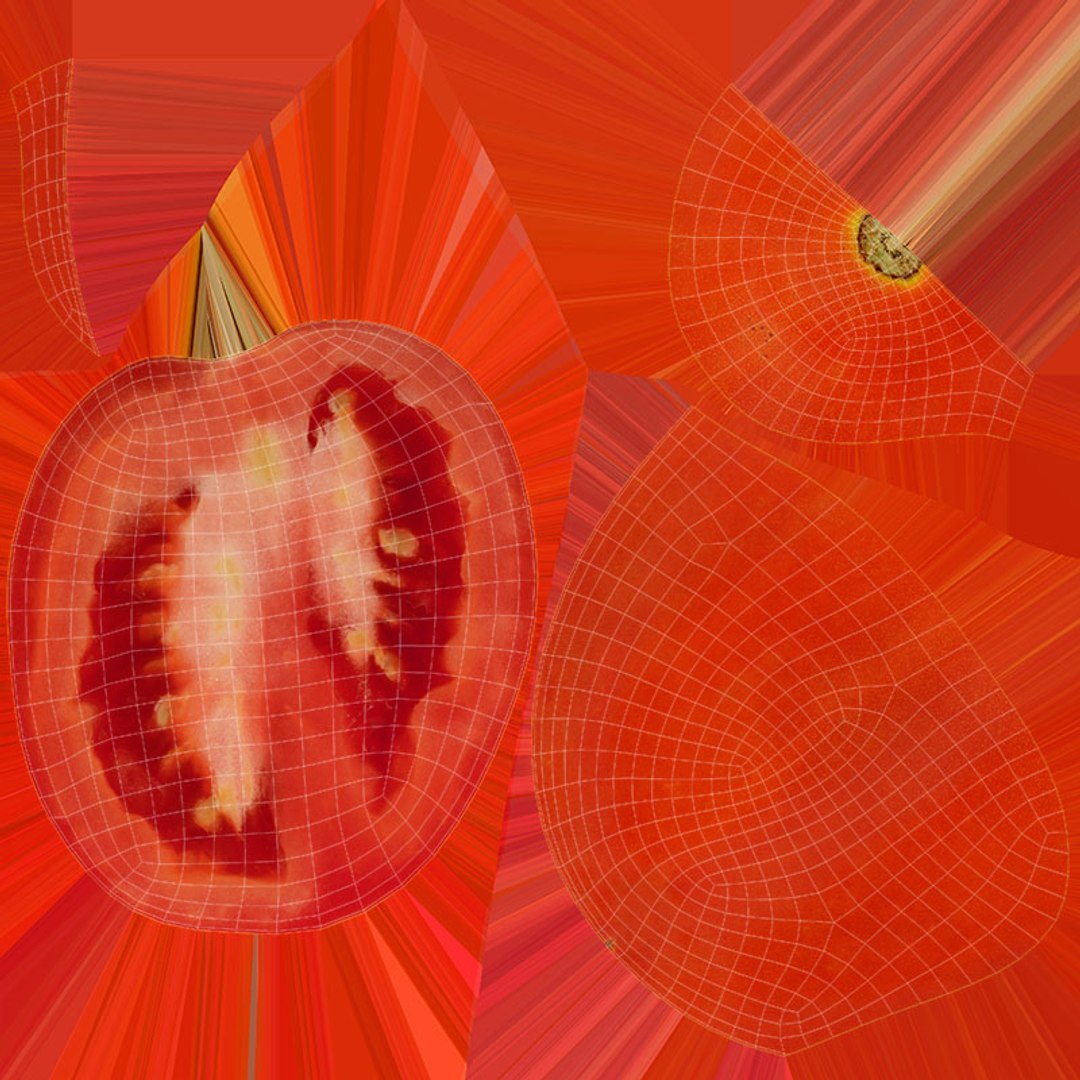 Roma Tomato Half 02 3D model https://p.turbosquid.com/ts-thumb/yz/9lkia7/MQ/romatomatohalf02_d0004/jpg/1695114118/1920x1080/fit_q87/073fe3deb8ab87c6ae0bdd9e8ec6e1eae1c595bf/romatomatohalf02_d0004.jpg