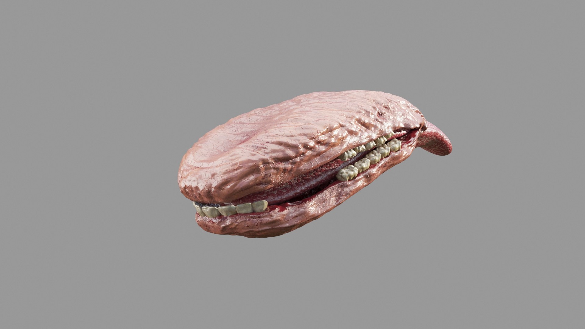 Dairy Calf 3D model https://p.turbosquid.com/ts-thumb/yz/FpxQnR/cD/tongue/jpg/1634838091/1920x1080/fit_q87/de684e710a0643a3829f35639241e466d7451bd3/tongue.jpg