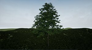 3D tree hainbuche
