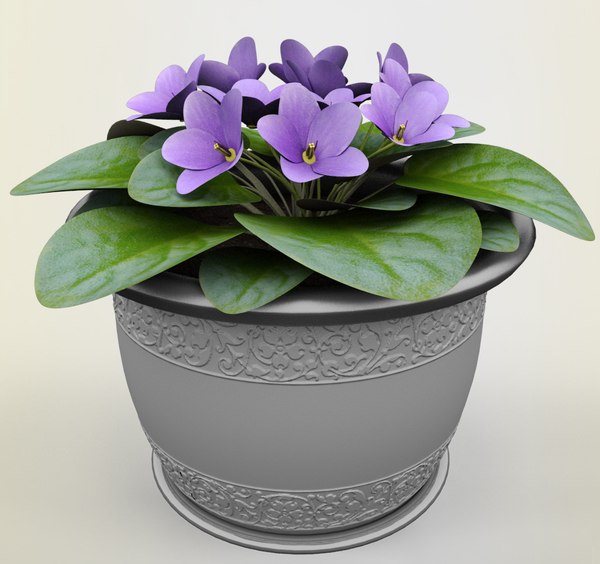 max flower