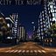 City Tex Night Time